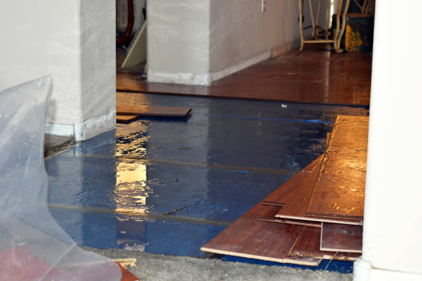 Professional Basement Flood Cleanup technician working in Addyston, OH